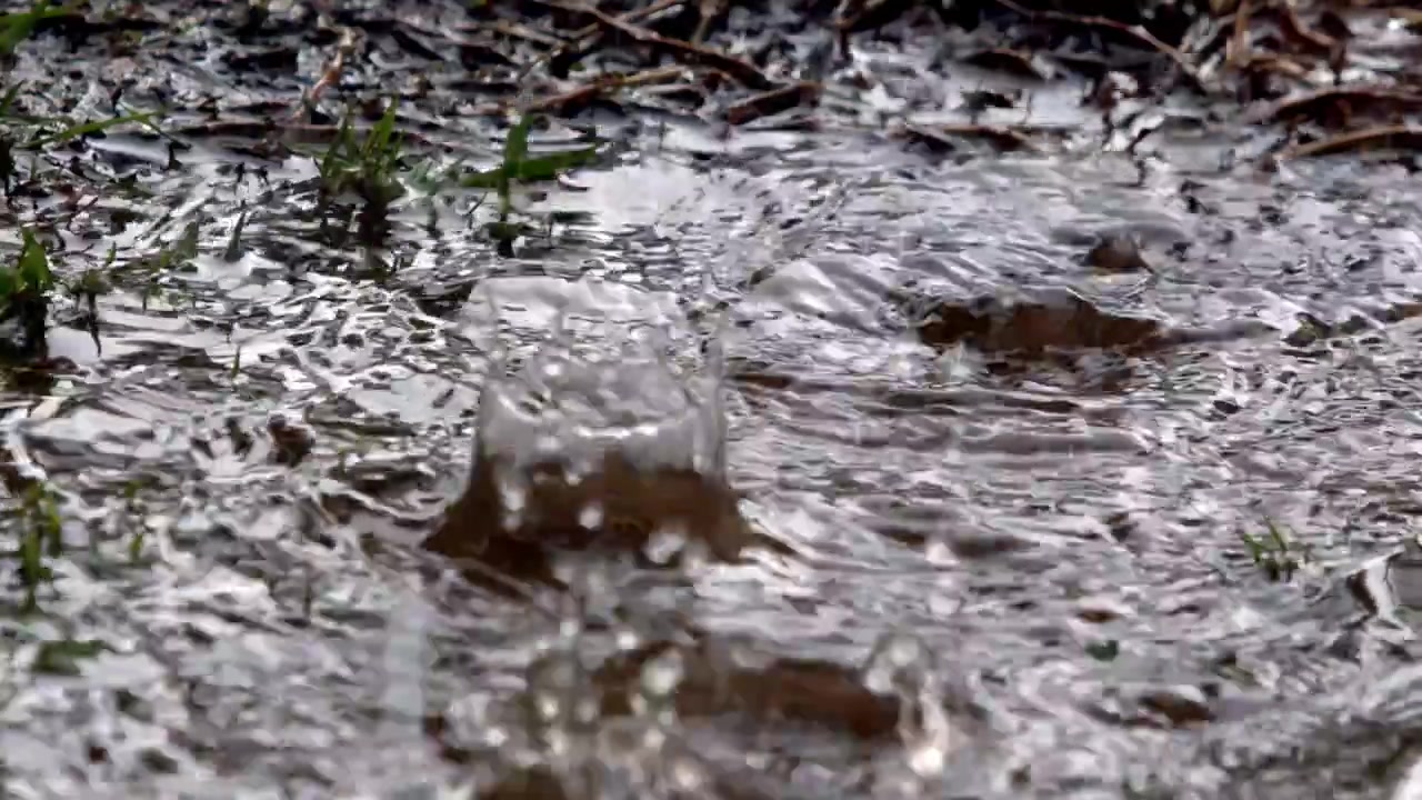 Splashing rain in puddle so wide, ripples dance and the droplets glide