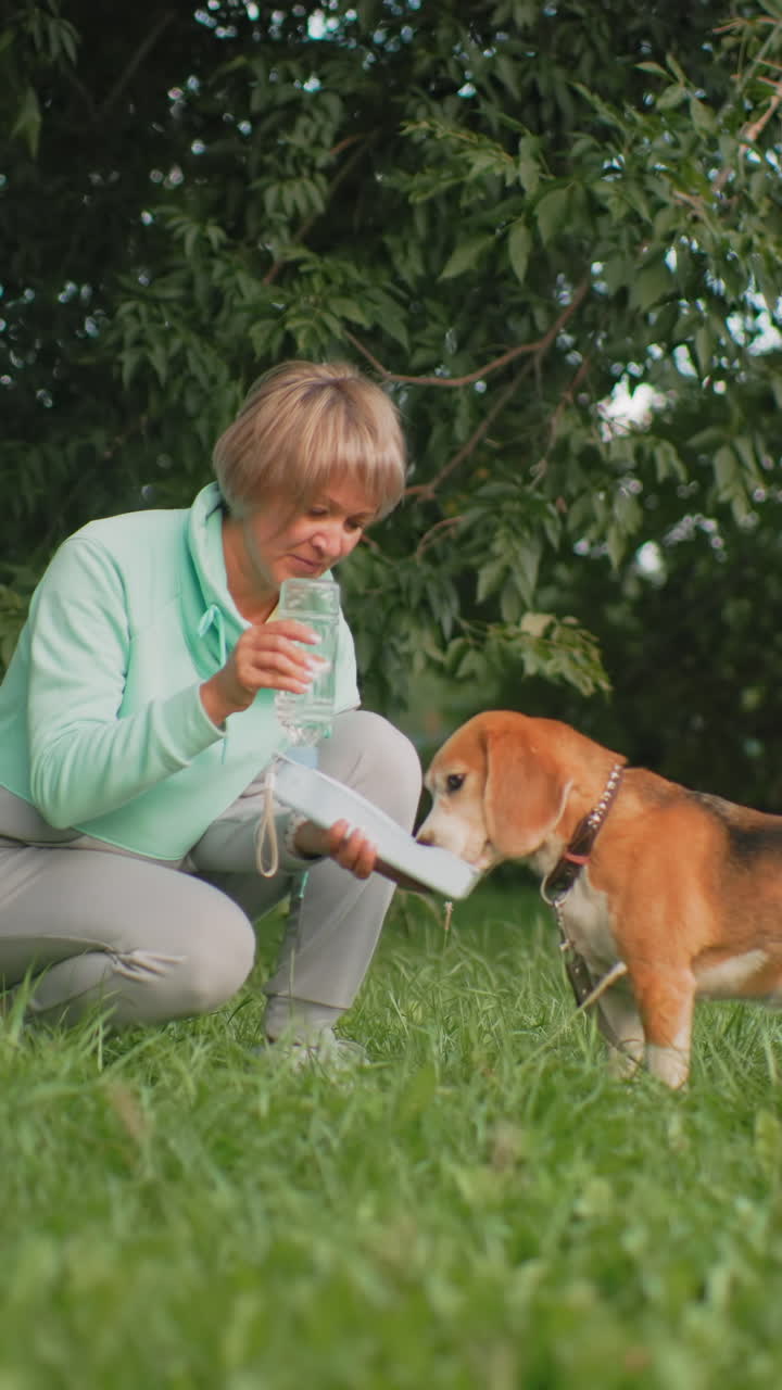 그늘진 풀밭 공원에서 무릎을 꿇고 앉아 비글에게 물을 주는 백인 여성, 민트색 스웨터, 휴대용 물그릇, 목줄과 함께하는 부드러운 반려동물 돌보기 장면, 정성껏 보살피는 주인과의 교감, 평온한 오후 분위기