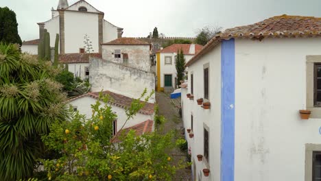 Wunderschöner-Zitronenbaum,-Der-In-Der-Gasse-Der-Burg-Von-Óbidos-Wächst