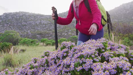 mujer mayor en una caminata en la naturaleza