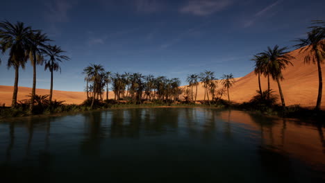 oasis del desierto con palmeras