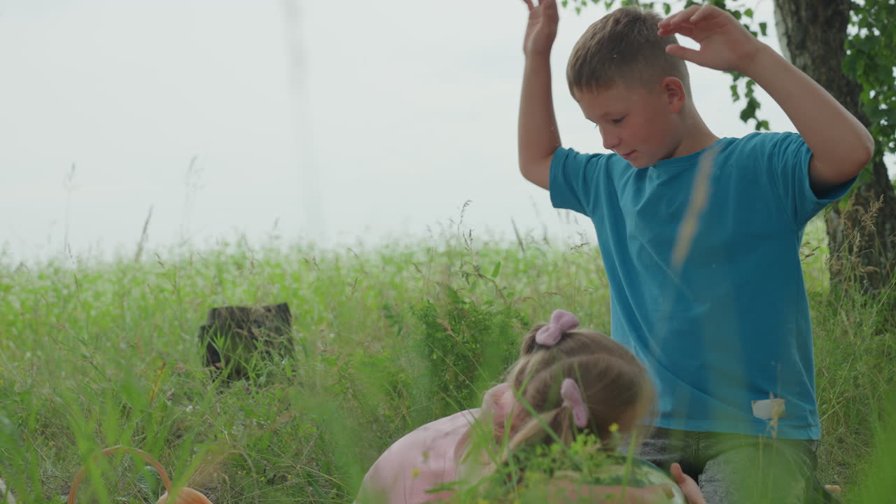 키 큰 풀밭 외딴 나무 아래에서 장난기 넘치게 레슬링하는 백인 형과 어린 여동생의 모습을 담은 솔직한 여름 풍경은 햇빛 아래에서 활기 넘치는 오빠가 낄낄거리는 어린 여동생을 장난스럽게 누르고 있는 모습을 보여줍니다.