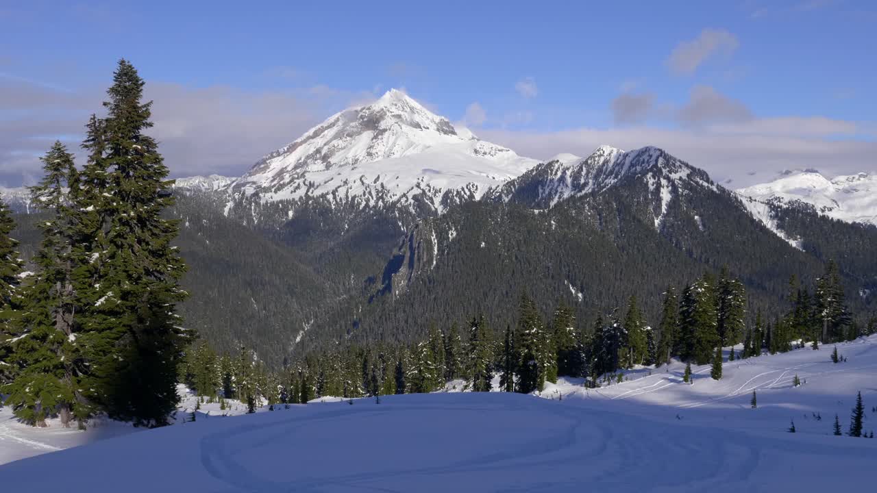 Vista perfetta delle Alpi dalla foresta innevata