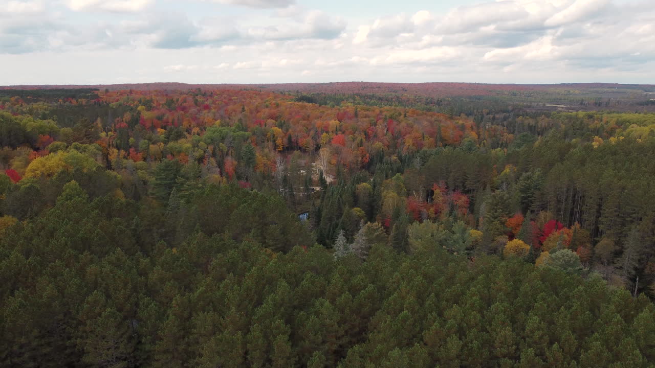 lado a la vista de los vastos bosques que rodean el país de la cabaña de muskoka, el bosque que muestra los maravillosos colores otoñales