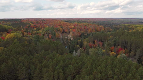 side on view of the vast woods around the muskoka cottage country, the forest displaying the wonderful autumn colors