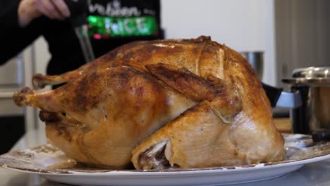 browned turkey, holiday dinner meal preparation, baster in background