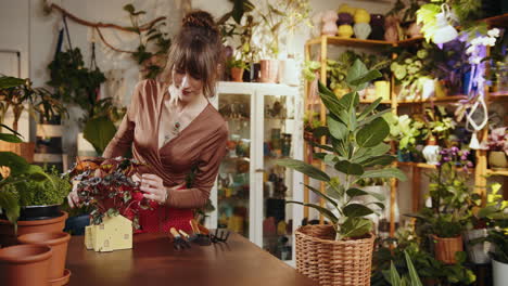 mujer explorando una hermosa tienda de plantas