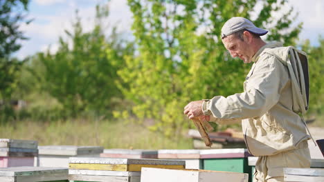 apiculturist pulls the empty honey frames with few bees on out of the hive. beekeeper checks up his farm on sunny day.