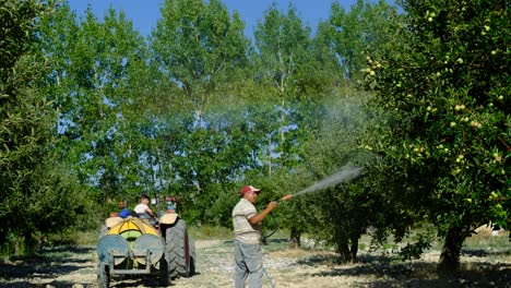 adult man sprays trees