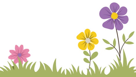 animation of colourful flowers on white background