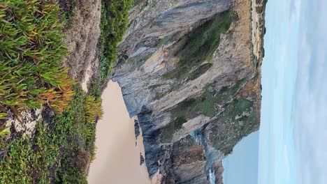 zambujeira do mar over the sea shore with ocean waves, cliffs and sand dunes covered by green vegetation red leaves of sour fig, sunny day, clear blue sky