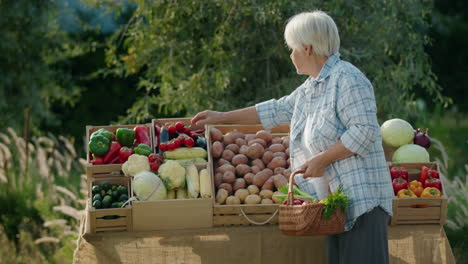 an old lady chooses vegetables at an agricultural fair. standing next to the counter