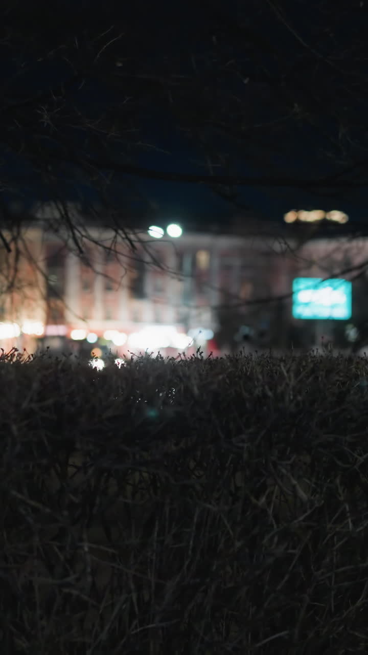 빛나는 덤불과 배경에 도시 불빛이 있는 도시 야간 장면, 지나가는 자동차