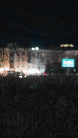 escena urbana nocturna con arbustos iluminados y luces de la ciudad en el fondo, con coches pasando