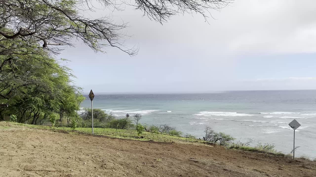 una escena costera pacífica con las olas tranquilas del océano, el follaje verde y una suave pendiente que conduce a la orilla