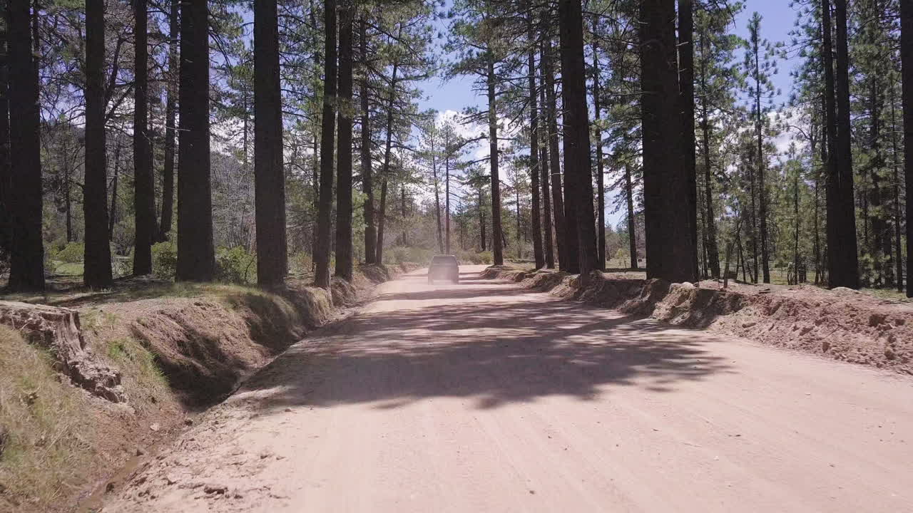 숲의 비포장 도로에서 운전하는 4wd 차량