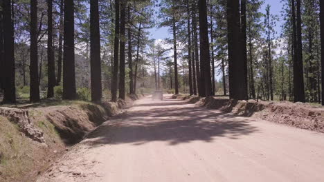 4wd-vehicle-driving-on-dirt-road-in-forest