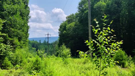 Power-running-through-the-middle-of-a-dense-forest-in-the-Catskill-Mountains-in-new-york-state