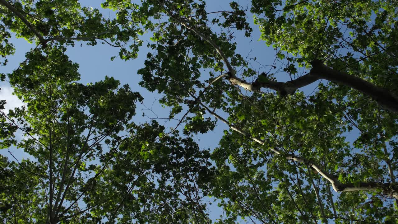 SLOW MOTION HANDHELD SHOT OF THREES AT LAS RAMBLAS IN BARCELONA