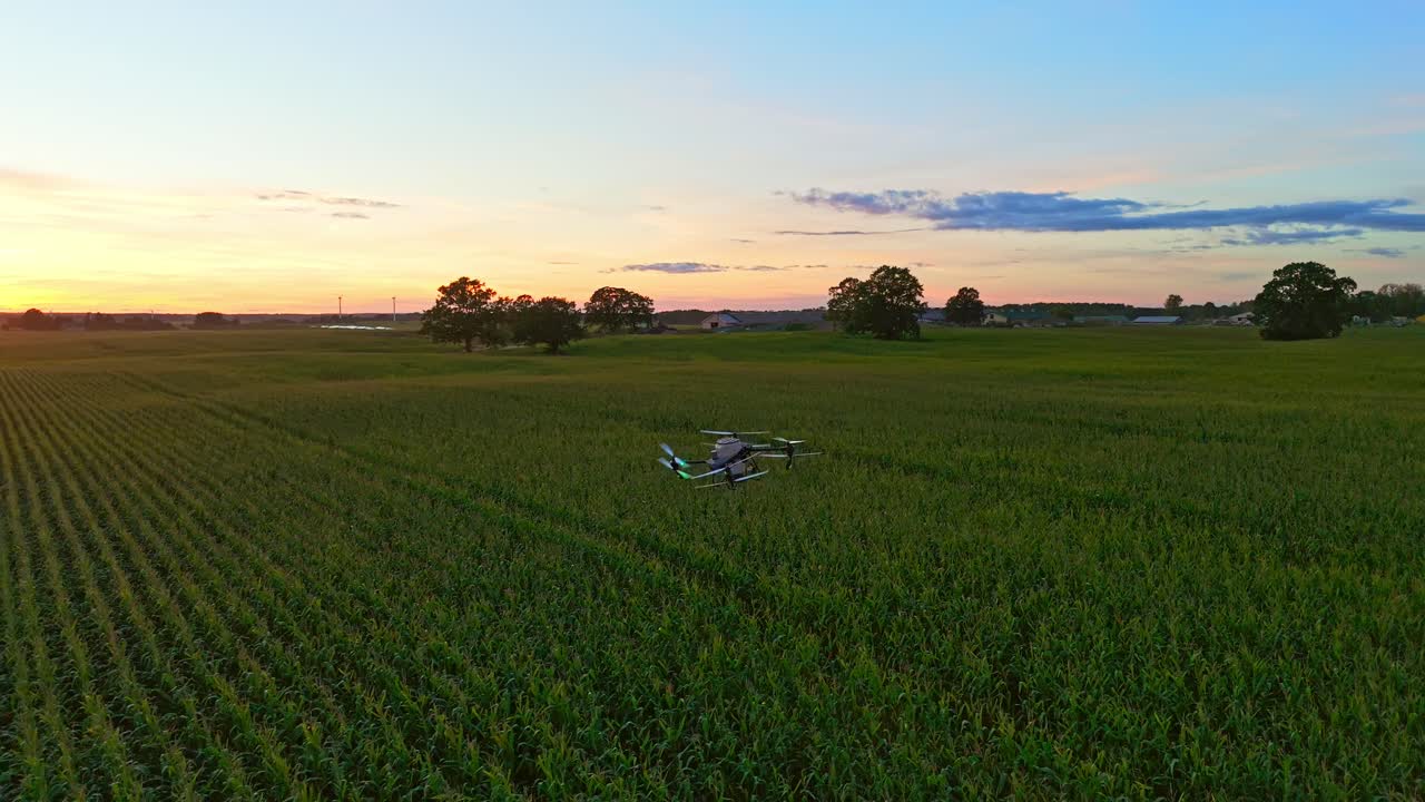 Sunset light hits cultivated crops as drone surveys agricultural field, aerial tracking