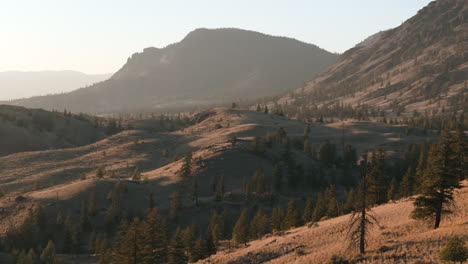 kamloops desert: golden glow from above