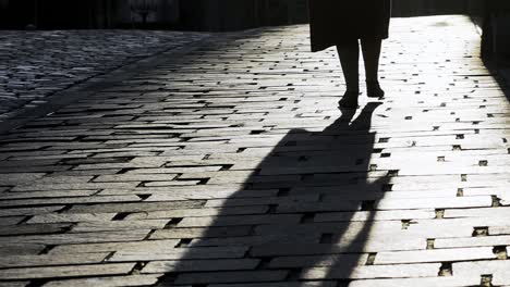 girl playing with shadow.