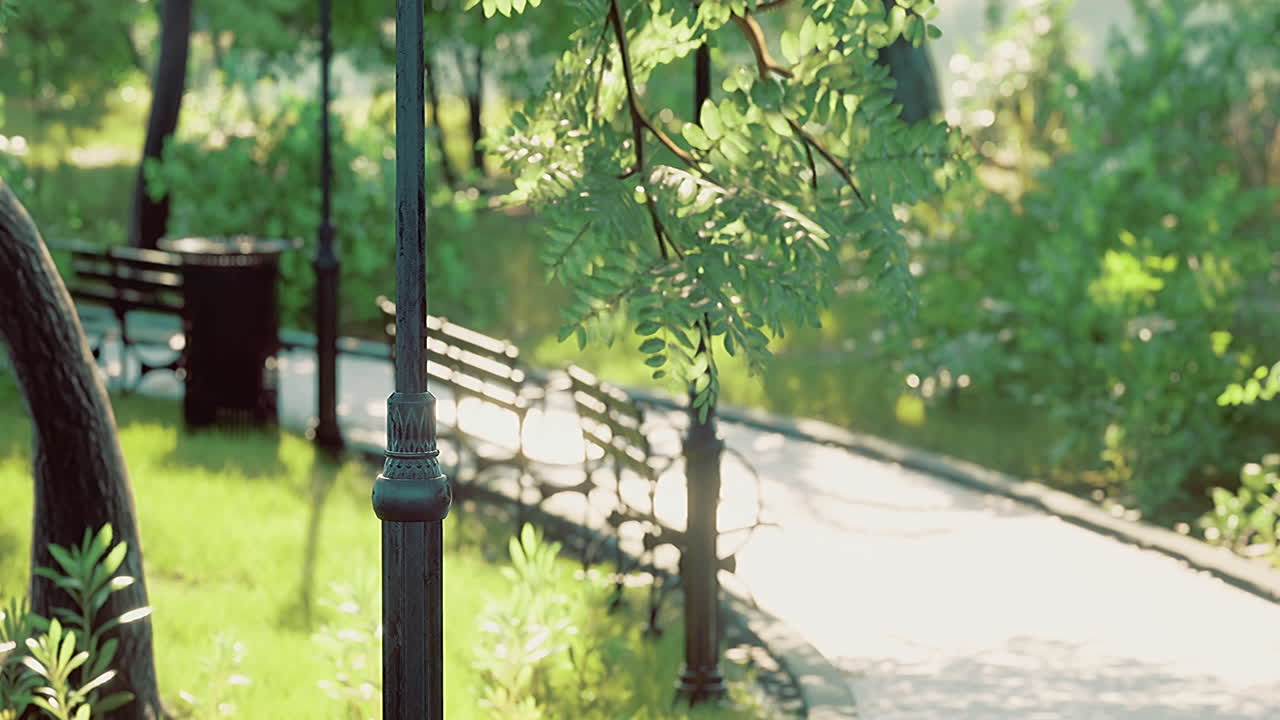 Serene pathways through a lush park under gentle sunlight in summer