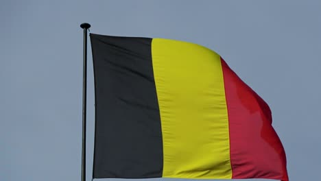 4k. flag of belgium waving in the wind on a mast. national flag