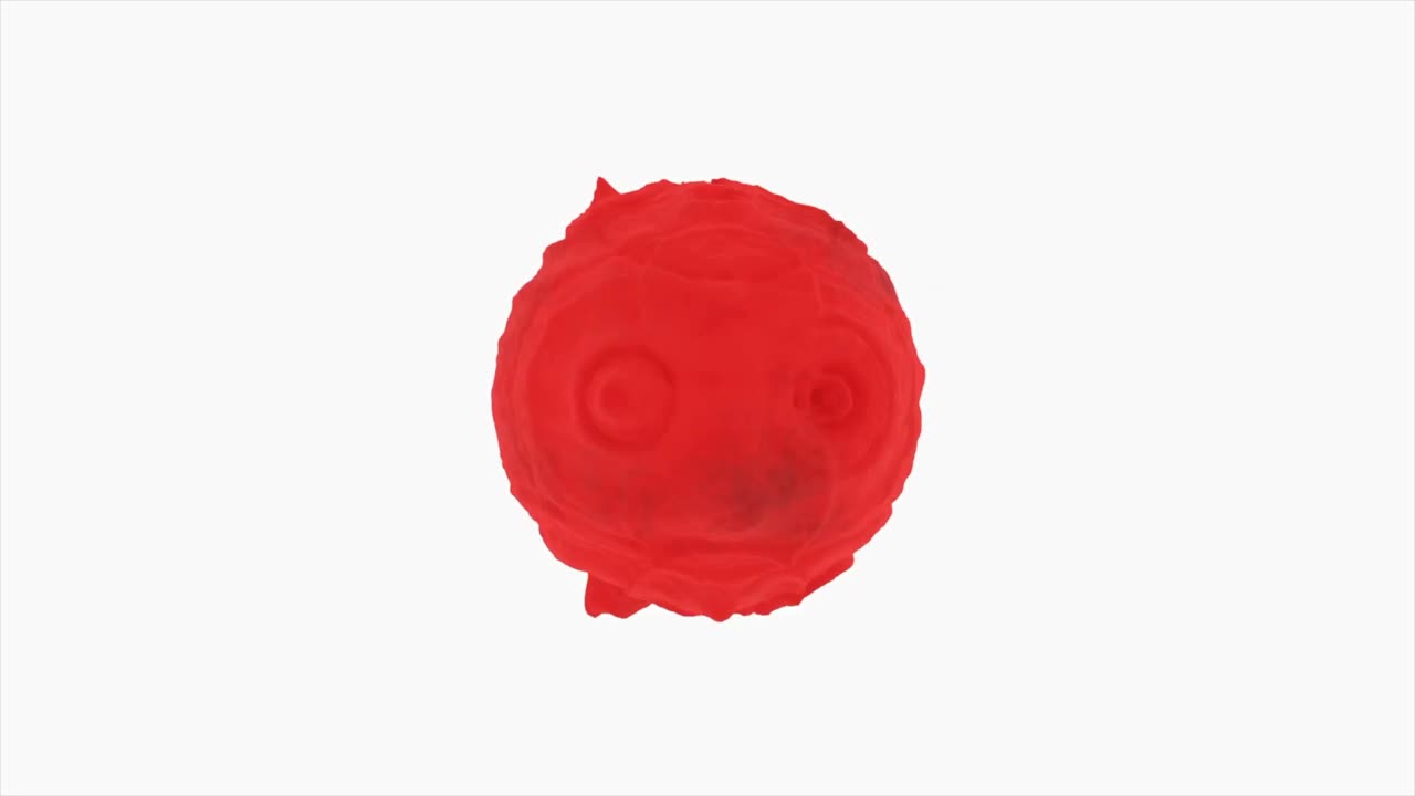 추상적인 은 원