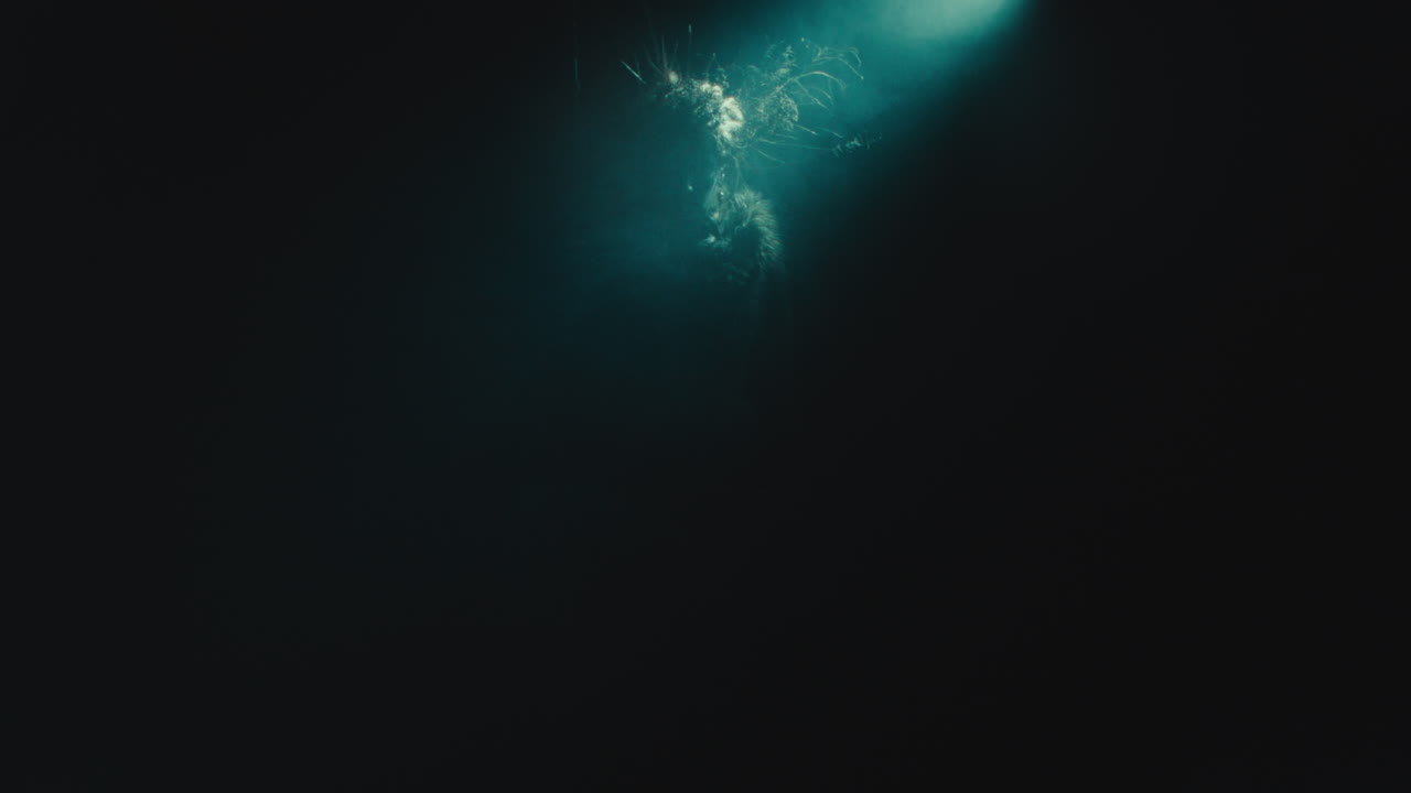 A creepy witch rises her head during the night storm