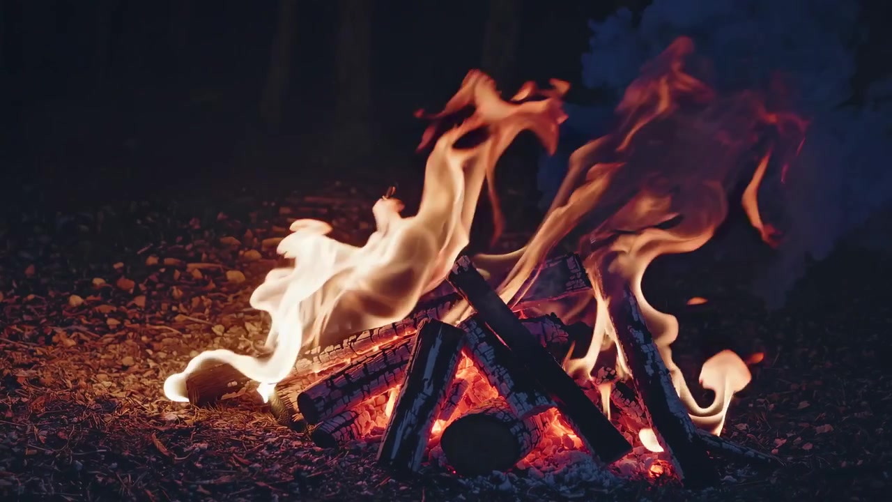 Falò luminoso che brucia nella foresta buia di notte