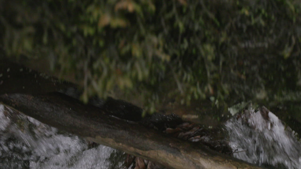 Slow motion macro camera lens that is panning up over mossy rocks to reveal a small stream going down like a waterfall.