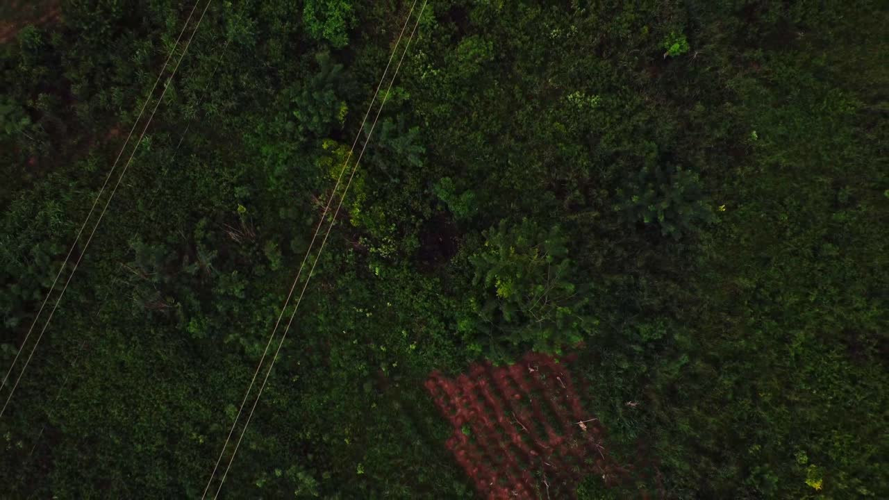 Top down aerial of long power lines running over a green field in rural Nigeria, Africa