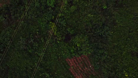 top down aerial of long power lines running over a green field in rural nigeria, africa