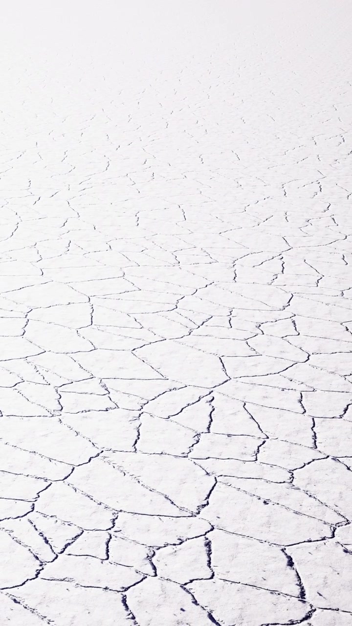 Cracked dry land landscape with white texture during bright daylight hours