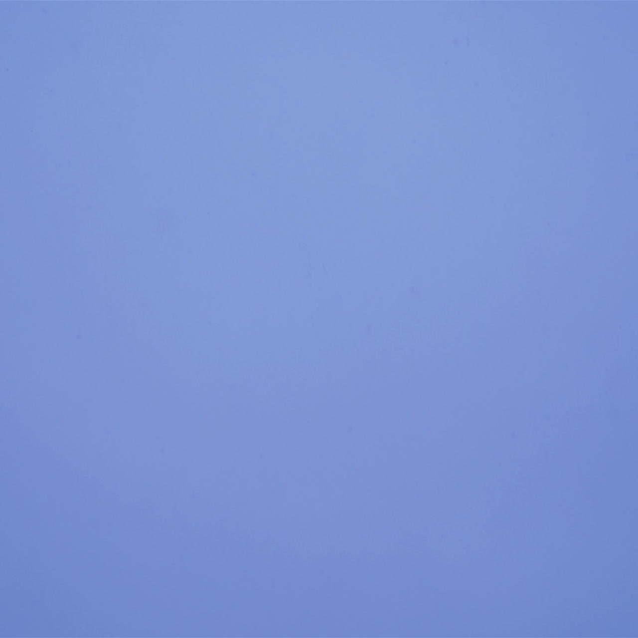 Flock of birds flying against gray clouds. Crows In Flight