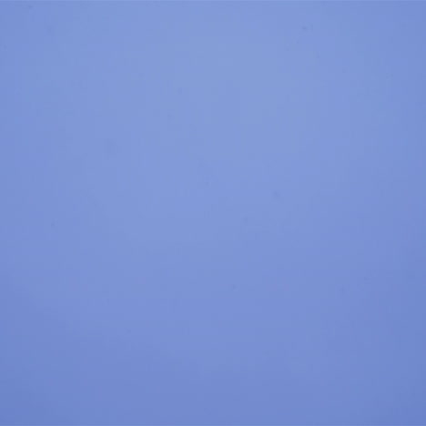 flock of birds flying against gray clouds. crows in flight