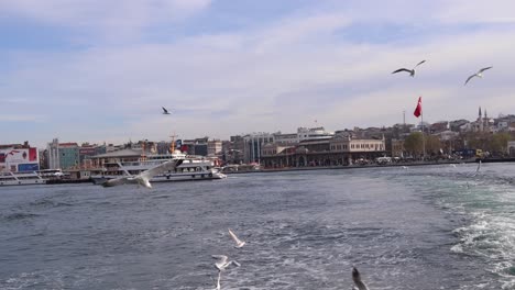 flock of seagulls flying on backwash in bosphorus with cityscape of istanbul, turkey in background - view from sailing boat - pov