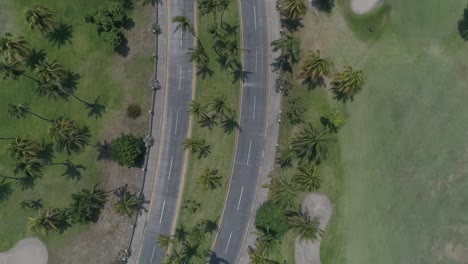 aerial drone fly above palm tree park road in princess hotel acapulco mexico, street through tropical greenery