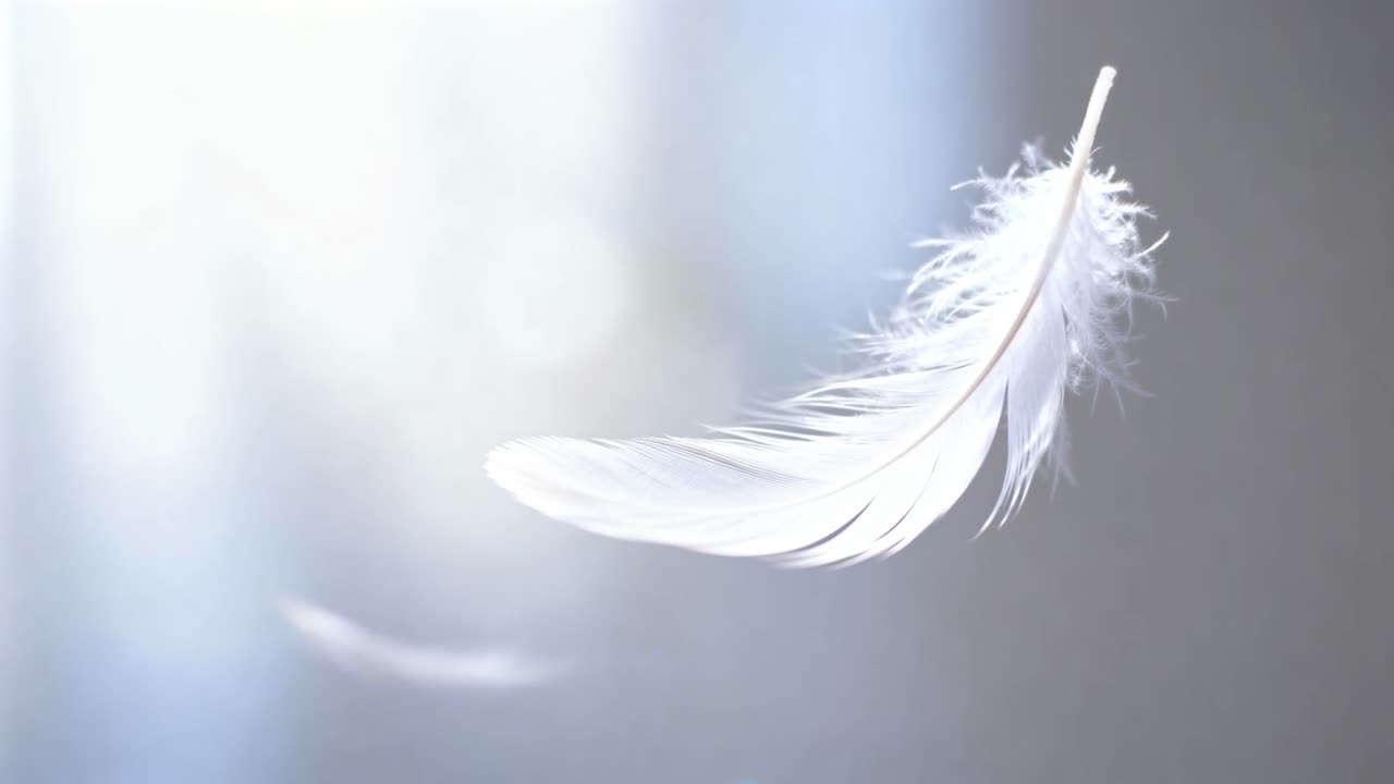 Drivende fjer, der roterer nær venstre vindue fra træk med lille sløret fjer, bokeh, copy space