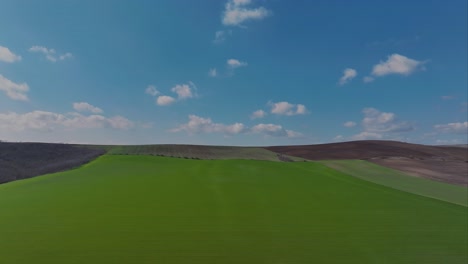 Aerial-tracking-shot-vibrant-green-agricultural-fields-blue-sky-at-the-horizon,-in-the-countryside-on-a-spring-sunny-day