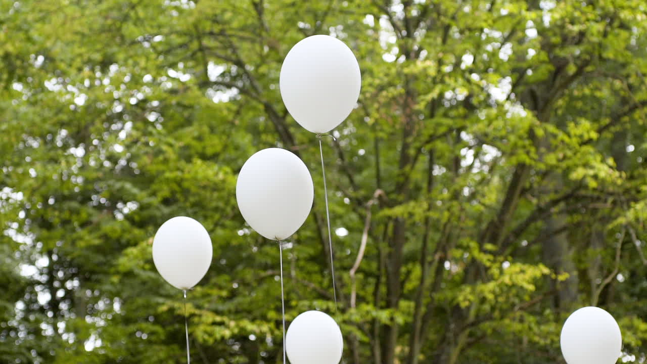 White Balloons Against Trees Symbolizing Joy