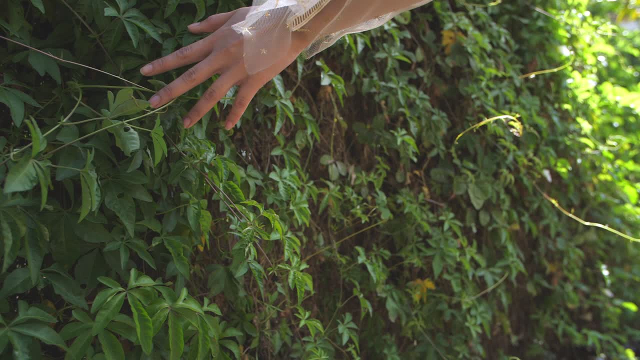 Mano di ragazza che tocca piante verdi, al rallentatore