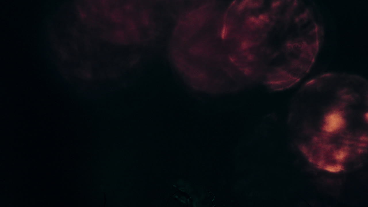 fiery steel wool sparks creating dynamic circular patterns