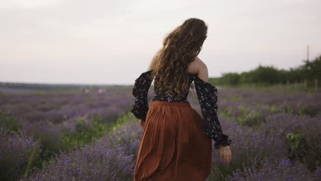 long haired woman running joyfully through a lavender field, touching flowers