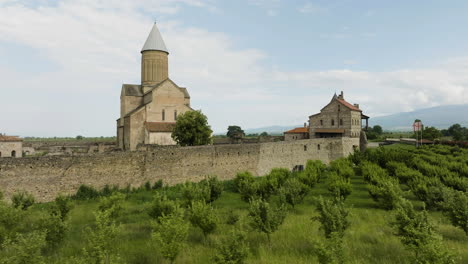 Viñedo-Debajo-Del-Muro-De-Piedra-Del-Complejo-Del-Monasterio-Alaverdi-En-Georgia