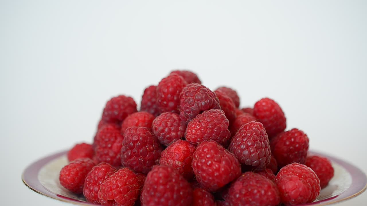 Shooting of raspberry. Summer berries