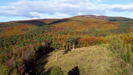 Cinematic-drone-flight-over-some-trees-in-autumn-forest-and-a-blue-sky