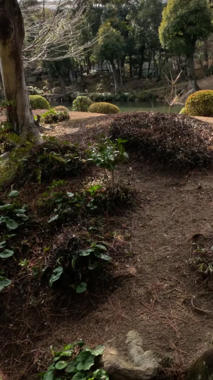 un paseo sereno por un jardín japonés