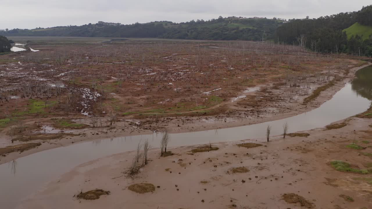 Marshland with water and foliage